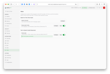 Voice settings — speech-to-text and text-to-speech providers